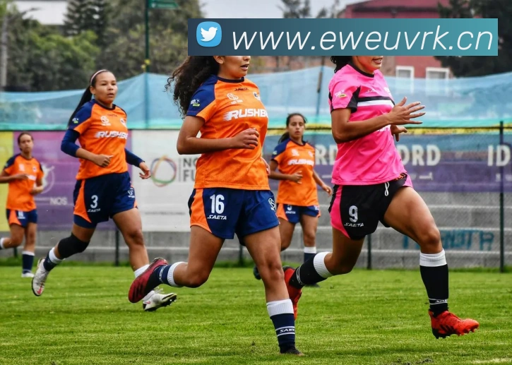 华体官网首页登录入口服务体系